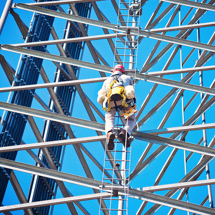 Veiligheidsbewustzijn